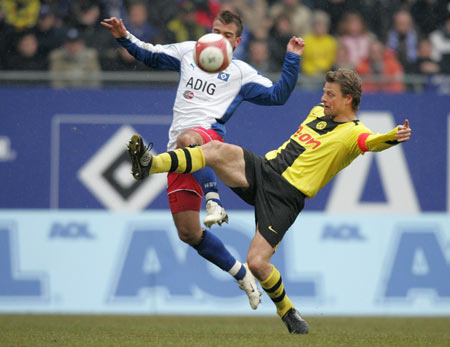 职业发展阶 职业发展阶